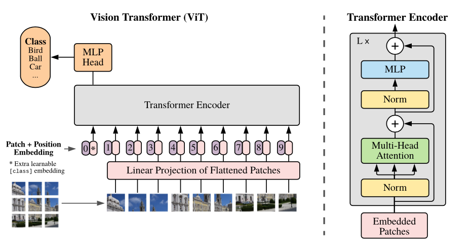 Vision Transformer (ViT) Architecture